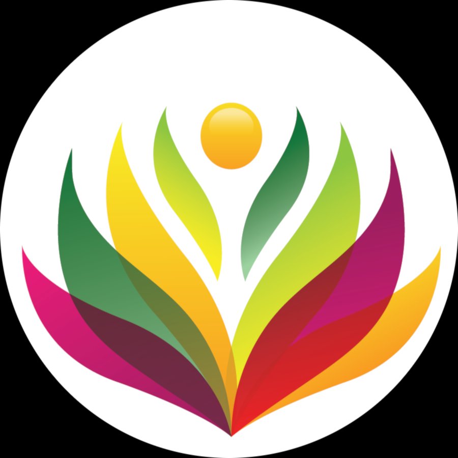 Vibe PEMF Logo